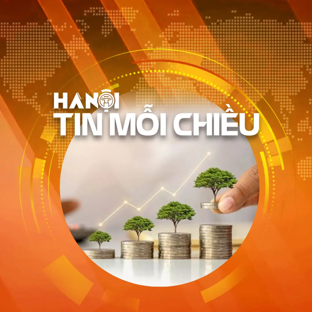 Việt Nam ở đâu trong bản đồ 'tín dụng xanh'? | Hà Nội tin mỗi chiều